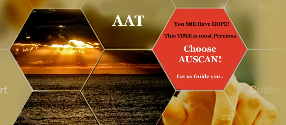 AAT and ART appeal consultants in Chandigarh helping with Australian visa refusal and cancellation reviews
